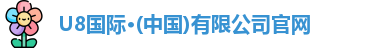 U8国际